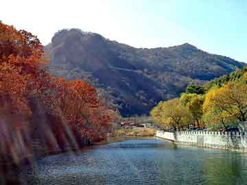 农业种植致富项目，解锁乡村经济的绿色密码，解锁乡村经济绿色密码，农业种植致富项目